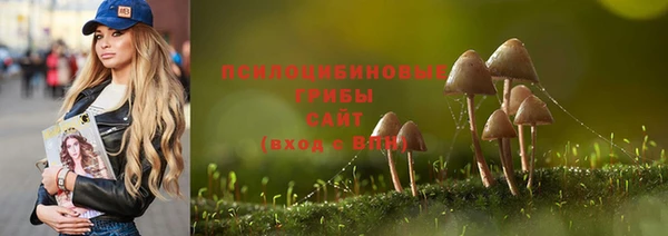 первитин Белоозёрский