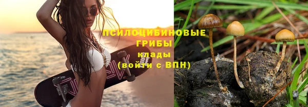каннабис Беломорск