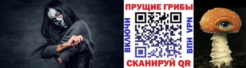 Псилоцибиновые грибы мицелий  магазин продажи наркотиков  Красноперекопск 